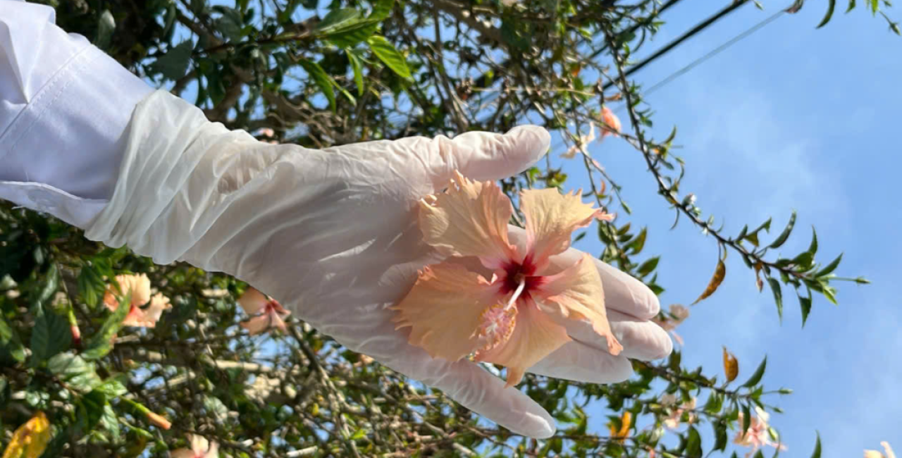 Sáng tạo cùng găng tay cao su